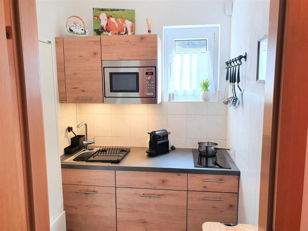 Appartement Bergtraeume Хаус-им-Энншталь Экстерьер фото